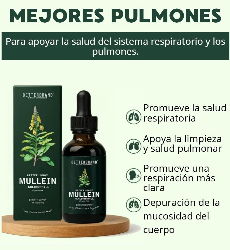 Mullein – Extracto herbal / Purifica tus pulmones y alivia las vías respiratorias