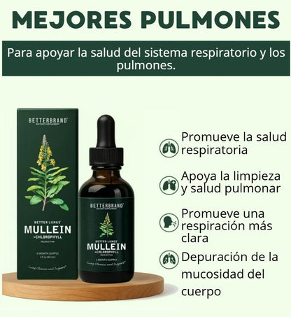Mullein – Extracto herbal / Purifica tus pulmones y alivia las vías respiratorias