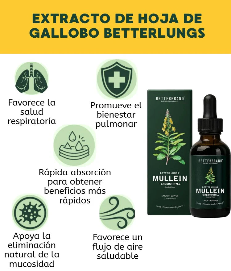 Mullein – Extracto herbal / Purifica tus pulmones y alivia las vías respiratorias
