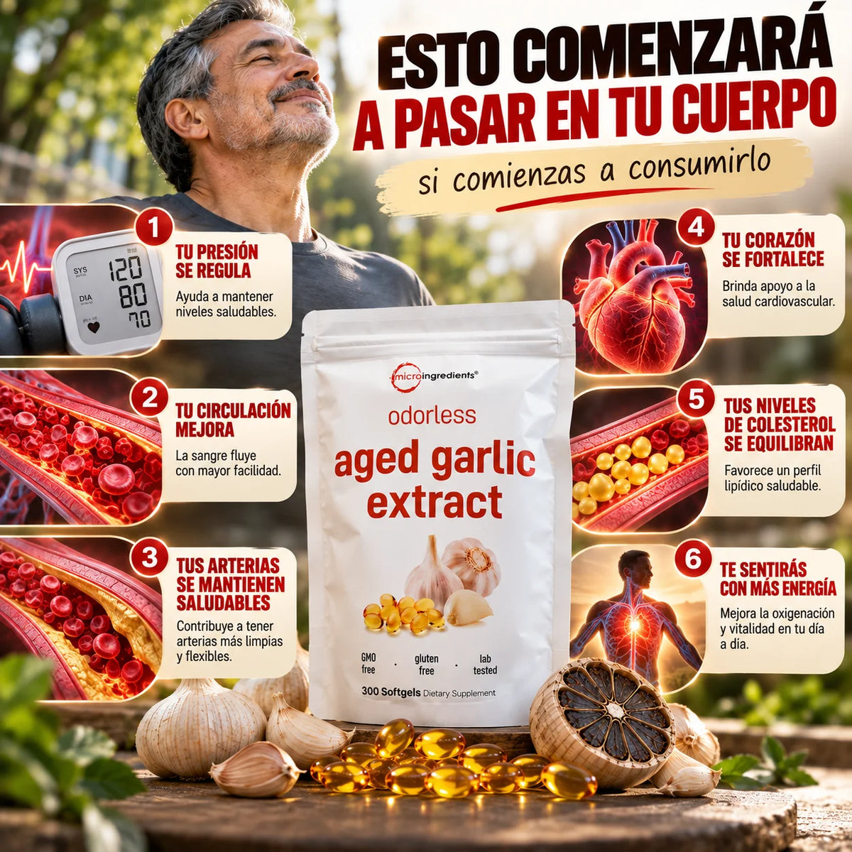 CAPSULAS DE AJO AÑEJADO - Tratamiento para la presión arterial