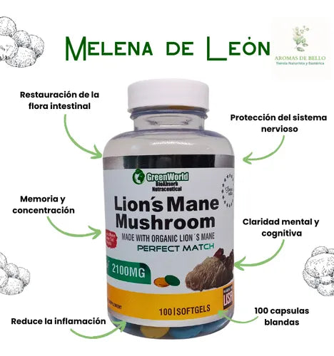 Melena de León  - El Hongo de la inteligencia / Estimula la conexión neuronal y la claridad mental