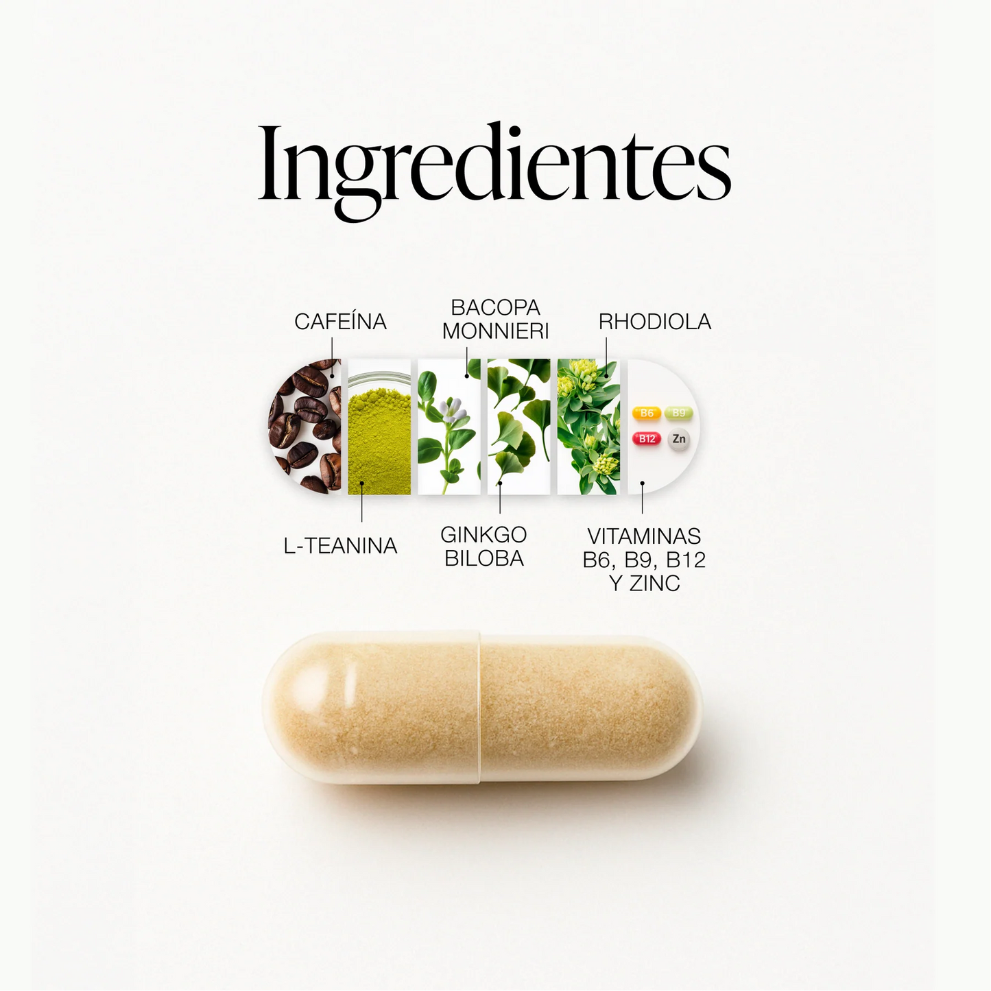 ZZEN Focus – Impulsa tu concentración y velocidad de aprendizaje naturalmente