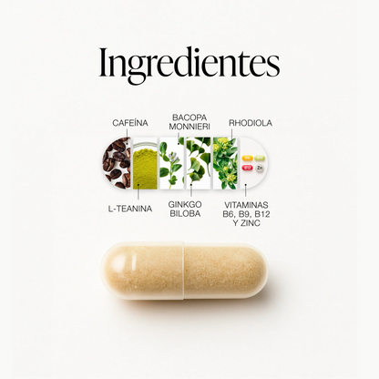 ZZEN Focus – Impulsa tu concentración y velocidad de aprendizaje naturalmente